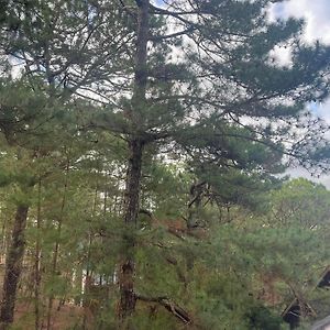 Country Homes Sheridan Drive Camp John Hay Lot 16